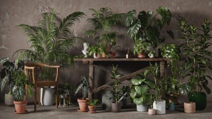 interior-plants-pack01